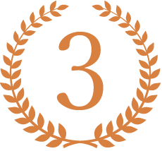icon3