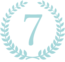 icon7