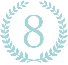 icon8