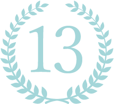 icon13
